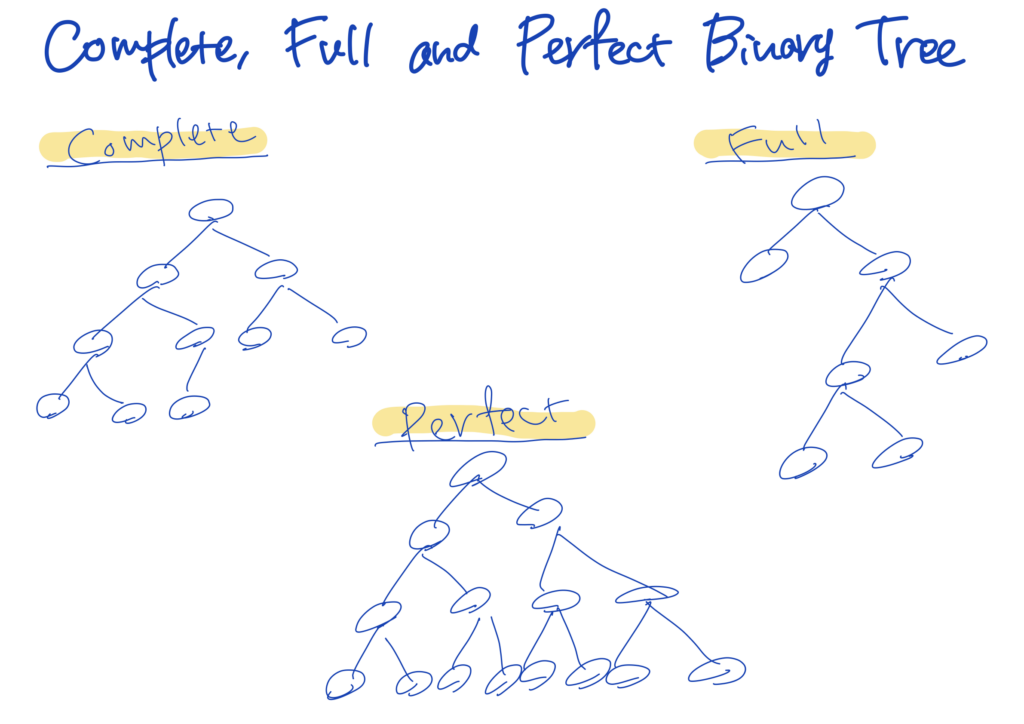 Trees and Graphs Ryoma Taniyama